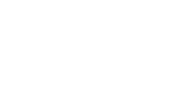 LionFit